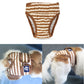 Brown and white striped dog menstrual pants with elastic legs and a logo patch on dog
