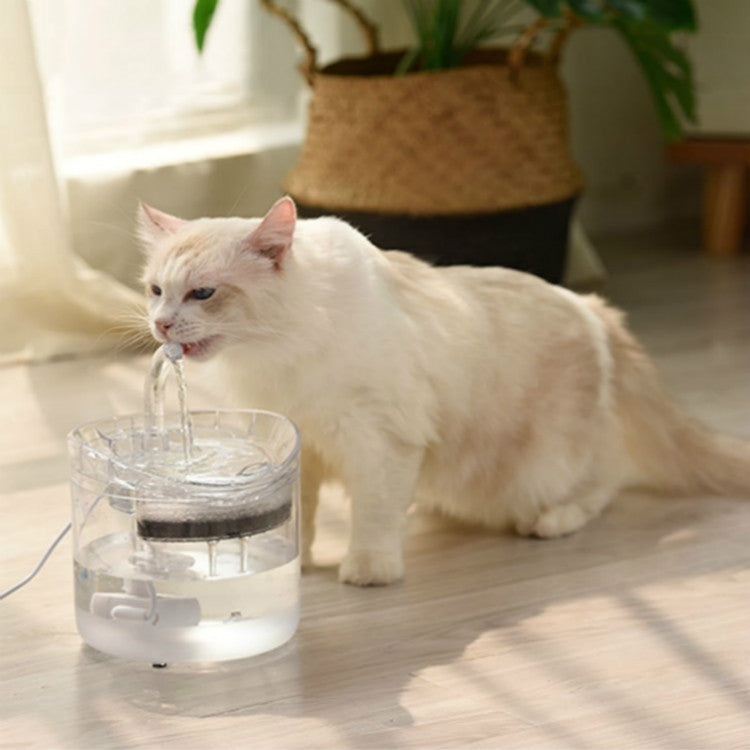 Transparent pet fountain with flowing water tray and white cat drinking, power cable shown