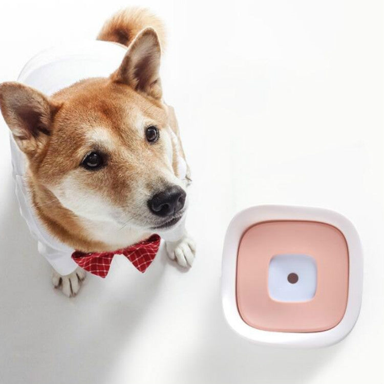 Pet drinking bowl with white base, pink tray insert, and protective splash design