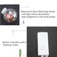 Transparent LED globe lamp beads with a white button controller for curtain lights