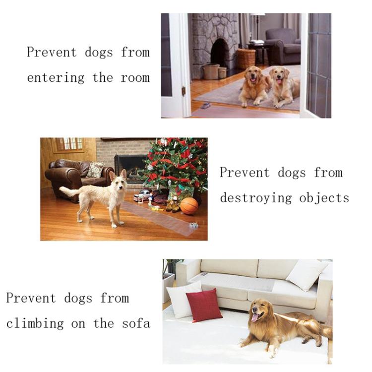 Pet electrostatic training mat shown near doorway and on floor by sofa