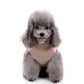 Pet turtleneck sweater in beige knit with pink trim, worn by small dog