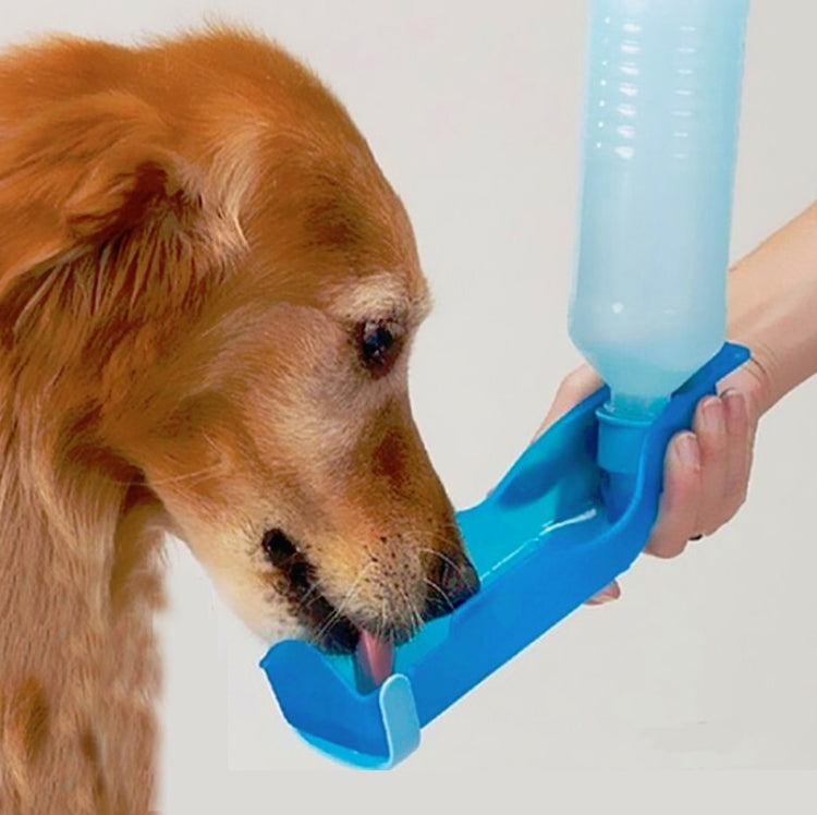 Pet drinking from blue water bottle drinking feeder held at muzzle height