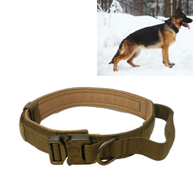Khaki nylon traction dog collar with light-toned buckle and D-ring