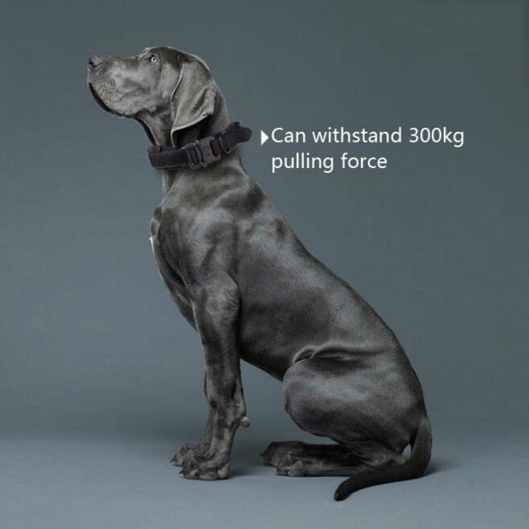 Thickened traction dog collar on gray dog, dark nylon with metal snap