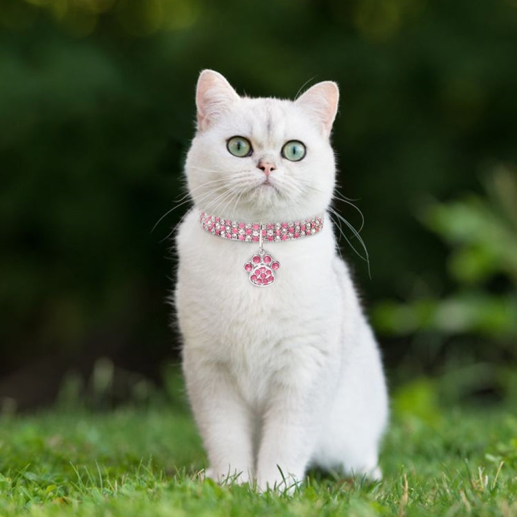 Pink rhinestone pet collar necklace with small paw charm on a white cat