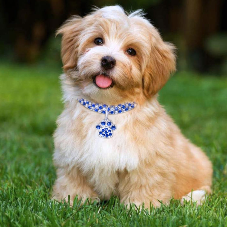 Blue rhinestone elastic pet collar necklace with dangling paw charm on a small dog
