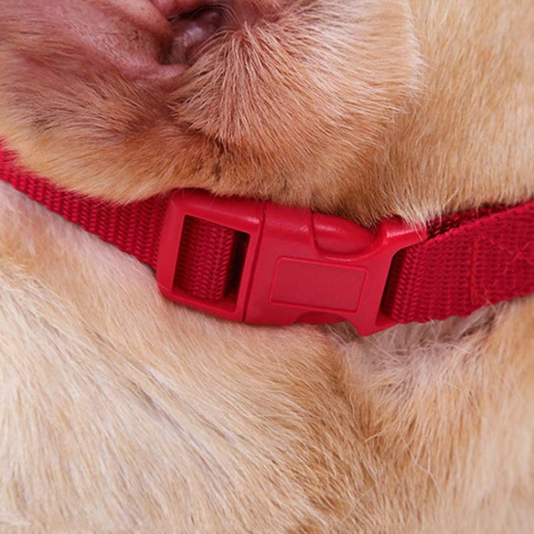 Adjustable red buckle on dog muzzle strap against light fur