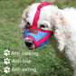 Dog wearing blue mesh and red muzzle outdoors on grass