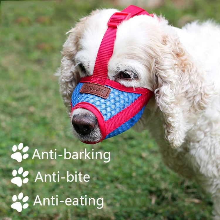 Dog wearing blue mesh and red muzzle outdoors on grass