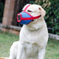 Dog wearing a blue mesh red muzzle outdoors, seated and facing left