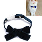 Velvet pet collar with dark navy bowknot and adjustable strap, no bell.