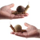 7701 Children Electric Infrared Remote Control Snail Simulation Tricky Pet, Snail(Gray), Snail(Brown)