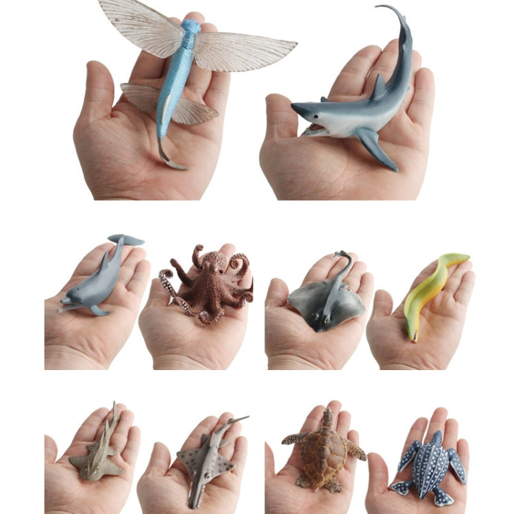Set of marine animal model ornaments in hands, including dolphin, shark, and turtle