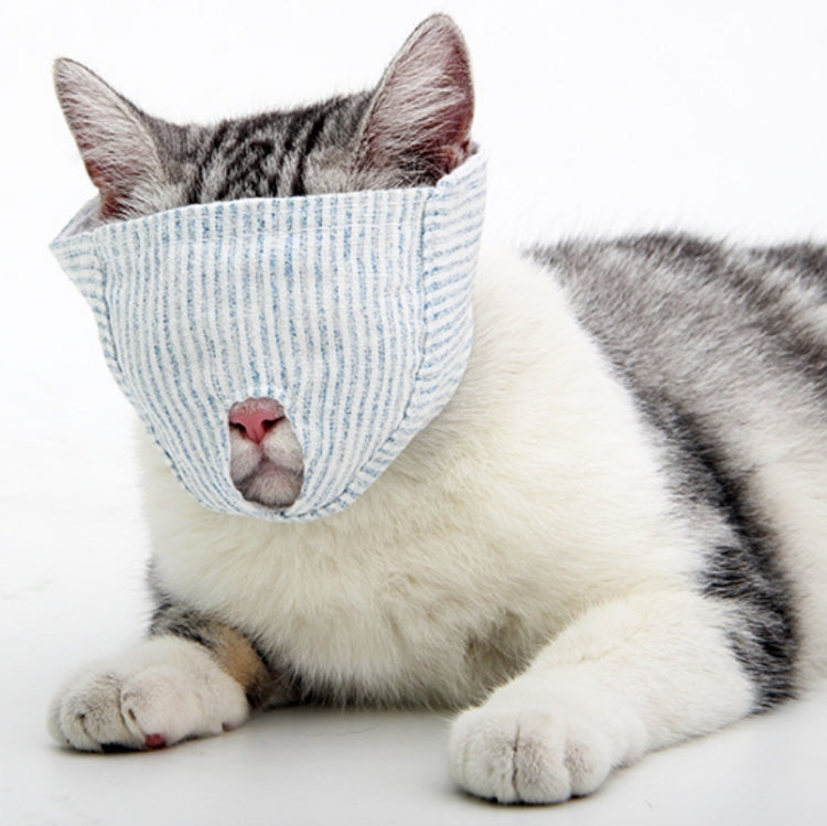 Light blue striped cat muzzle mask with ear holes and nose opening on a gray-and-white cat