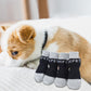 Four dog anti-scratch socks on a small dog, black and gray style with paw stripe trim