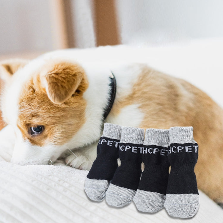 Four dog anti-scratch socks on a small dog, black and gray style with paw stripe trim