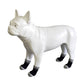 Rear view: white dog wearing black and gray cotton anti-scratch socks, 4-pack