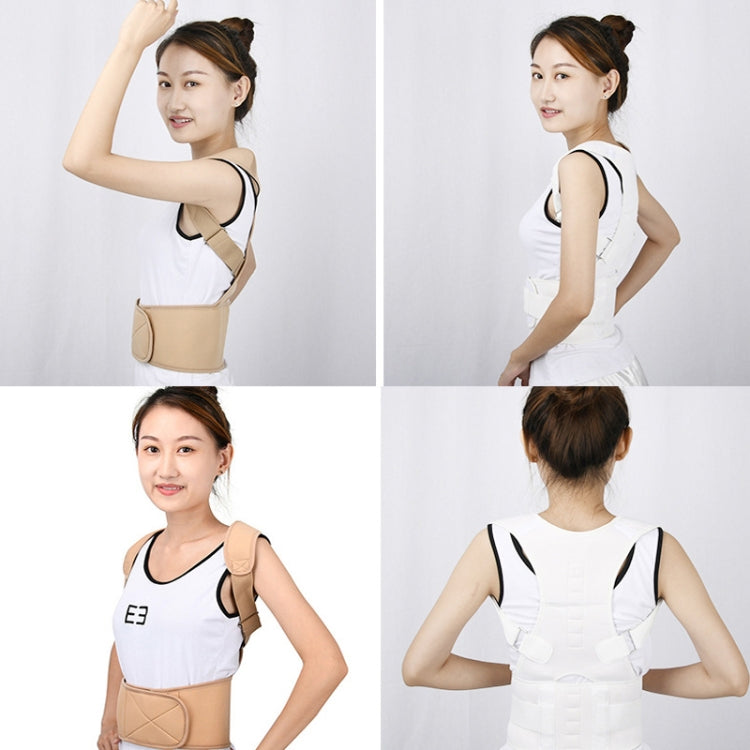 Beige back posture correction belt shown front and back with padded brace panels