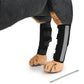Black dog knee pads with adjustable straps for leg protection