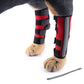 Red dog knee pads with adjustable straps and reflective panels