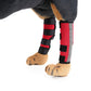 Dog leg guards, red padded braces with grey side strip and black strap bands