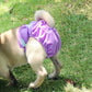 Pet Physiological Pants Pet Waterproof Panties, XS, S, M, L, XL