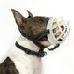 Dog anti-bite mouth cover mask with white muzzle cage and black harness straps