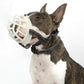 Dog anti-bite muzzle cover featuring a white plastic basket and padded black straps