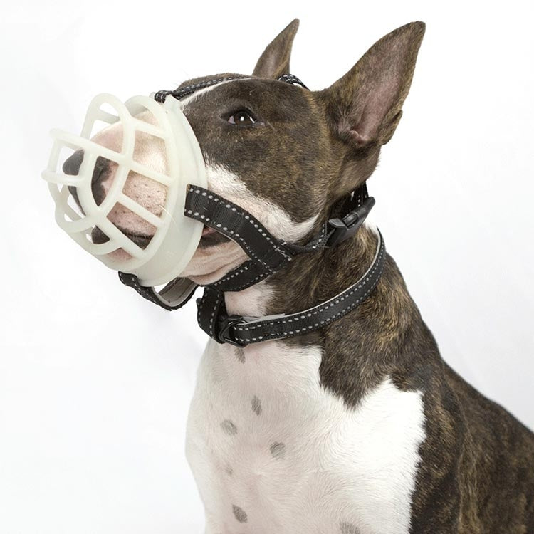Dog bark stopper muzzle cover with white cage-style mouth guard and black harness