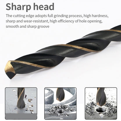 TBD0561965503_2.jpg@18acca3dba65bbd32f700a4b6edeb3e5