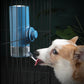 Small dog drinking from hanging cage waterer with blue ball feeder