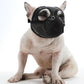 Dog mouth cover muzzle with black mesh hood for flat-face dogs.