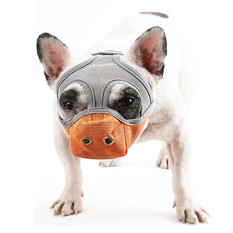 Dog mouth cover muzzle with gray mesh and orange front panel for flat faces.