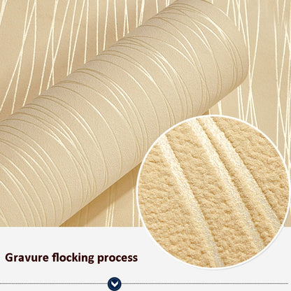 TBD0564544801_B1.jpg@a725a754e8cd80852eff385fc3fed591