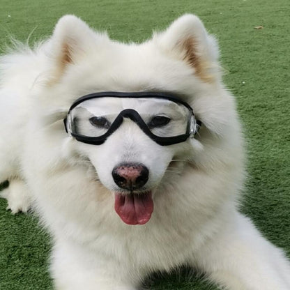Dog protective goggles with transparent lenses and black frame worn on a white dog