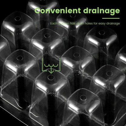 TBD05696076_6.jpg@2428bd31109698a31d1308c0fed46e33