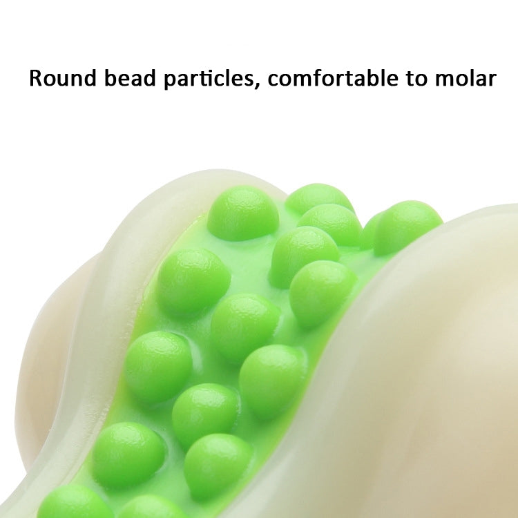 Close-up of green round bead studs on a white nylon dog chew bone