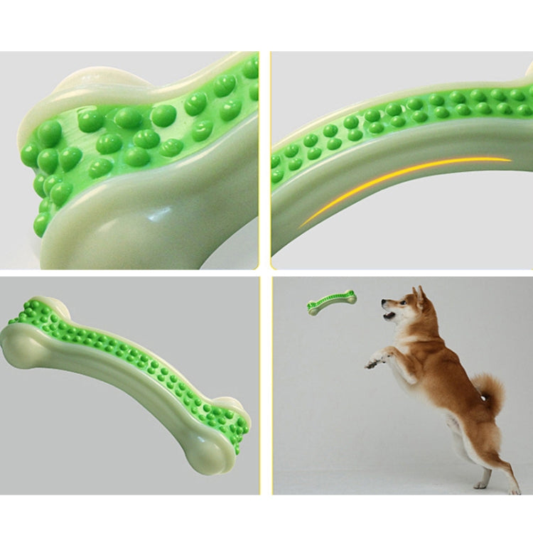 Green studded nylon chew bone toy shown from multiple angles during play