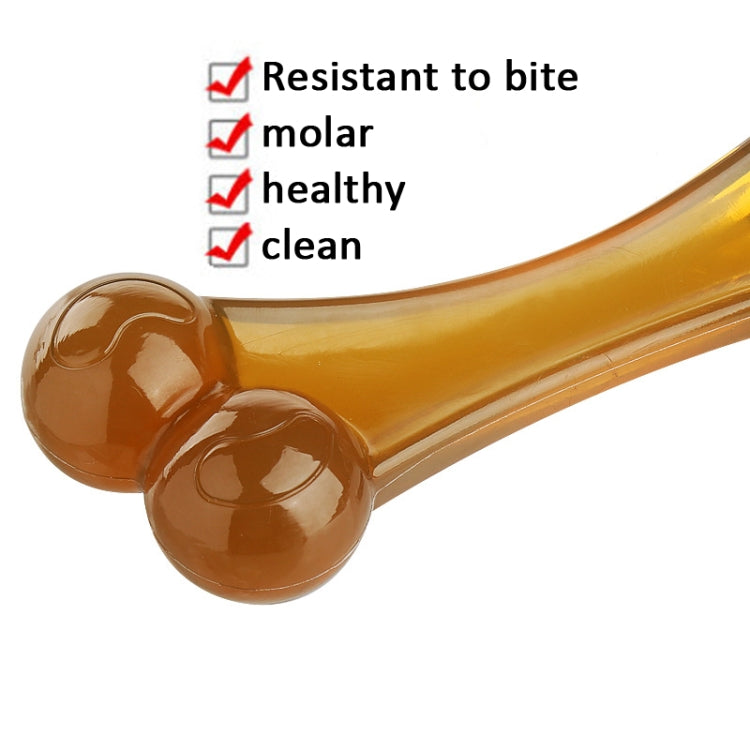 Amber arched bone dog molar stick with two rounded ends
