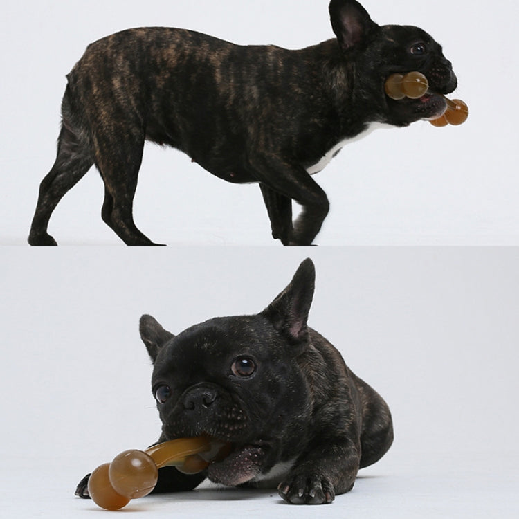 Amber arched bone dog chew toy in a black dog's mouth