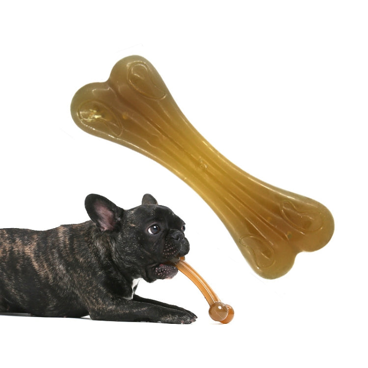 Golden amber arched bone dog molar stick with rounded double ends