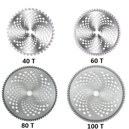 TBD0571535202_B1.jpg@bbf0897cade07a93041bdd71f1129f06