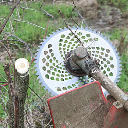 TBD0571535202_B4.jpg@8709b8781dfa5592e07d9736b7b2b8a5