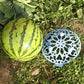 TBD05719489_4.jpg@9dd6ca58bda0d2d0b3cd766150f4a039