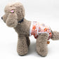 Dog anti-harassment pants with orange and animal print, worn by a plush brown dog.