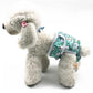 Dog anti-estrus belly wrap pants in teal animal print with gray trim and leg openings