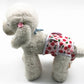 Dog diaper pants with white ladybug print, gray trim and adjustable belly strap