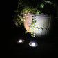 TBD0571991901_B5.jpg@da6f1429590406d380811ac9b4fc9009