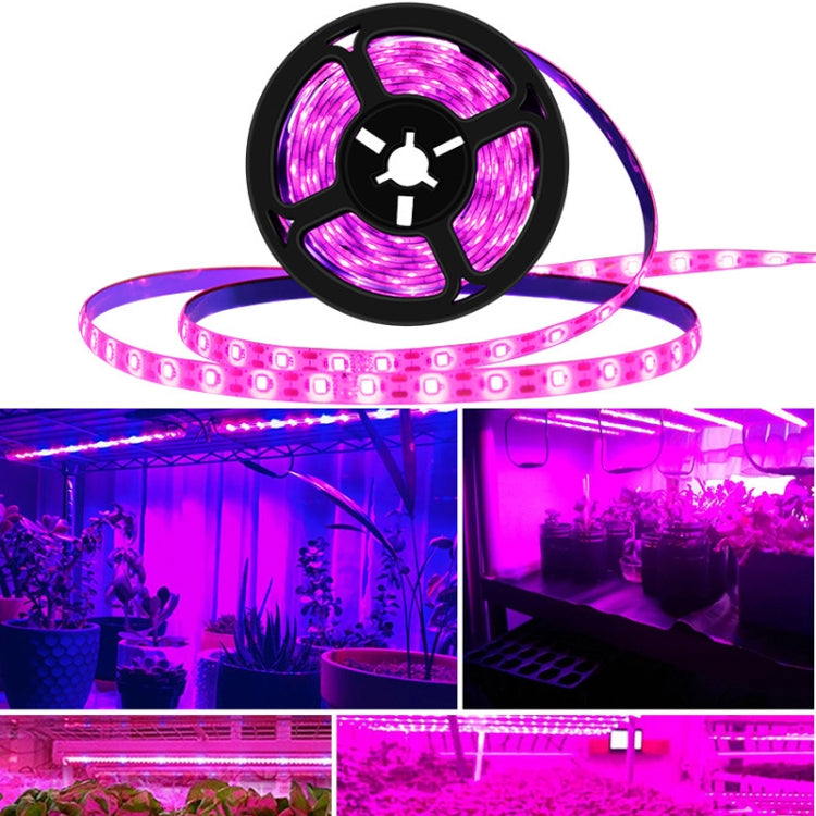 TBD0572187301_B6.jpg@d4f23d0278242303d4ac6cbce704ecdf